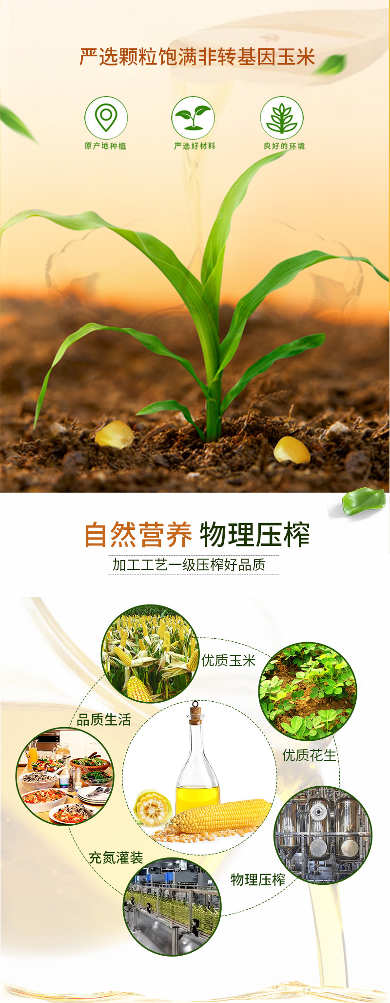【鲁王】浓香花生油1.8L+ 压榨玉米油1.8L（绿色健康）
